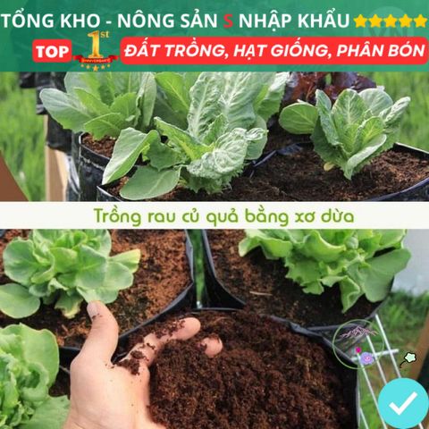 Bộ 5 Viên Nén Xơ Dừa Hữu Cơ Trồng Cây, Rau, Hoa - Tặng Hạt Giống F1 Giúp Rễ Phát Triển Tốt Nhất