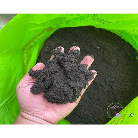 Giá Thể Ươm Giống 1Kg - Hỗn Hợp Đất Phù Sa & Cát An Toàn, Dinh Dưỡng Đầy Đủ, Chuyên Dụng Cho Hạt Mầm & Cây Giống
