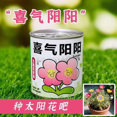 Bộ Hạt Giống Hoa Mini - Trải Nghiệm Trồng Cây Tại Nhà Cho Bé - Khám Phá Quá Trình Nảy Mầm Hấp Dẫn