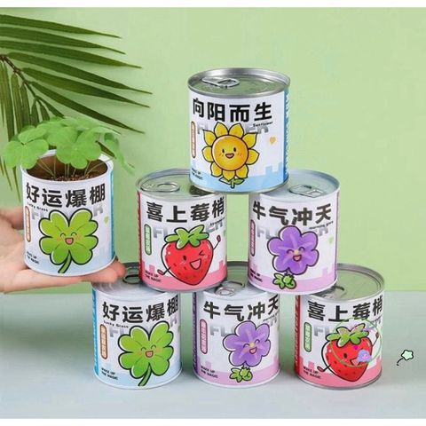 Bộ Hạt Giống Hoa Mini - Trải Nghiệm Trồng Cây Tại Nhà Cho Bé - Khám Phá Quá Trình Nảy Mầm Hấp Dẫn