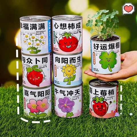 Bộ Hạt Giống Hoa Mini - Trải Nghiệm Trồng Cây Tại Nhà Cho Bé - Khám Phá Quá Trình Nảy Mầm Hấp Dẫn