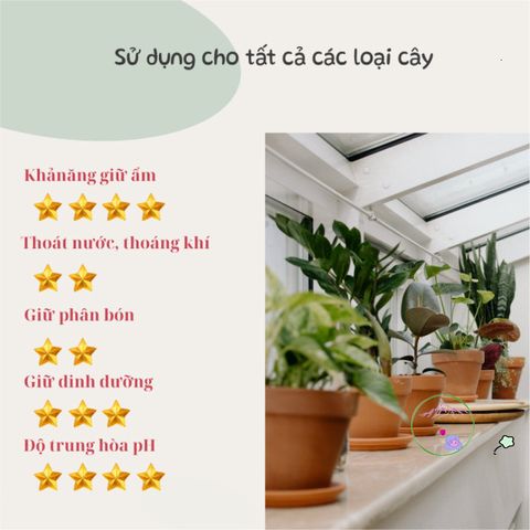 Đất Trồng Cây Đa Năng Nhật Bản 14L - Siêu Giữ Ẩm, Giàu Dinh Dưỡng Cho Cây Cảnh, Hoa, Rau - Giải Pháp Trồng Cây Hiệu Quả, Tự Nhiên