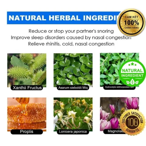 Chai Xịt Thảo Mộc 100% Giảm Ngáy Ngủ, Nghẹt Mũi, Viêm Mũi - Hỗ Trợ Giấc Ngủ Sâu và Khó Thở, Giải Pháp Tiện Lợi cho Mọi Lứa Tuổi