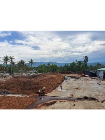 Bộ 20 Viên Phân Đất Trồng Cây Hữu Cơ Từ Xơ Dừa - Giúp Trồng Rau Sạch, Hoa Cảnh Dễ Dàng và An Toàn