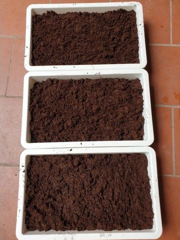 Bộ 20 Viên Phân Đất Trồng Cây Hữu Cơ Từ Xơ Dừa - Giúp Trồng Rau Sạch, Hoa Cảnh Dễ Dàng và An Toàn