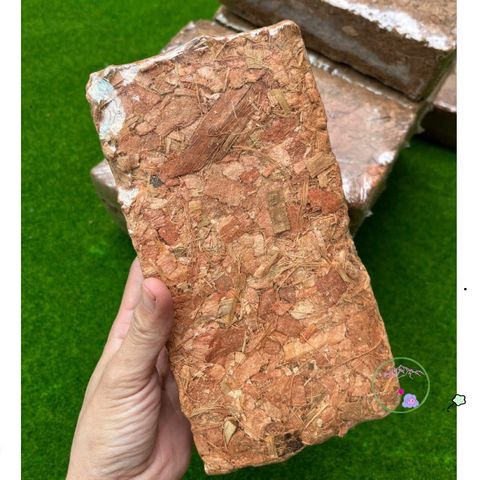 Bộ 10 Viên Nén Xơ Dừa Băm 500G - Giá Thể Trồng Cây Cảnh, Lan Hồ Điệp và Bonsai Hữu Cơ, Giữ Ẩm Tốt