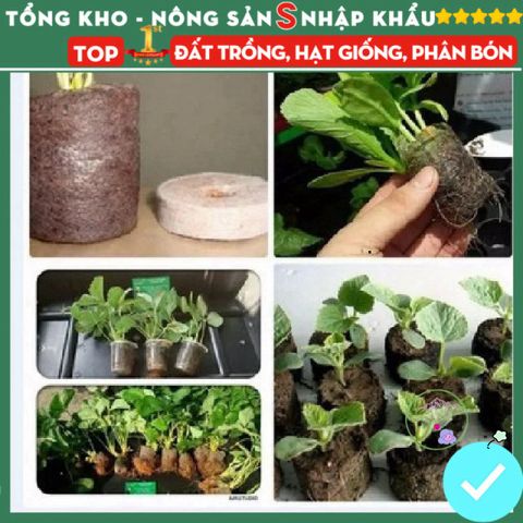Viên Nén Xơ Dừa ươm Hạt Giống - Dinh Dưỡng Tối Ưu Cho Tất Cả Các Loại Cây, Kích Thích Nảy Mầm 100% Từ Thiên Nhiên