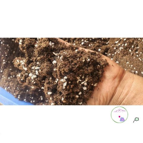 Hỗn Hợp Dinh Dưỡng Gieo Trồng Cây 1kg - Sơ Dừa, Trùn Quế, Peat Moss, Phân Supersoil - Giúp Cây Phát Triển Khỏe Mạnh