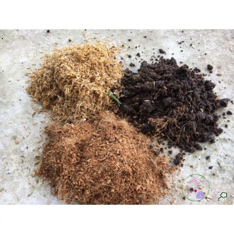 Mùn Dừa Bến Tre Gói 3kg - Giá Thể Tối Ưu cho Rau, Hoa và Cây Cảnh - Giữ Ẩm và Cung Cấp Dinh Dưỡng Cho Cây Trồng