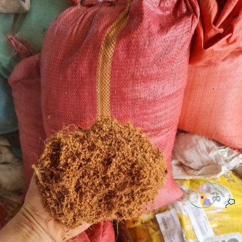 Mùn Dừa Bến Tre Gói 3kg - Giá Thể Tối Ưu cho Rau, Hoa và Cây Cảnh - Giữ Ẩm và Cung Cấp Dinh Dưỡng Cho Cây Trồng