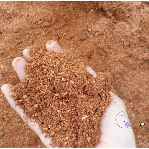 Mùn Dừa Bến Tre Gói 3kg - Giá Thể Tối Ưu cho Rau, Hoa và Cây Cảnh - Giữ Ẩm và Cung Cấp Dinh Dưỡng Cho Cây Trồng