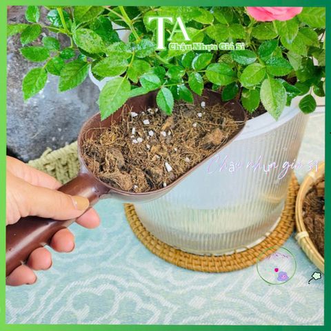 Hỗn hợp Đất Trồng Hoa 1KG - Dinh Dưỡng Cao, Phù Hợp Mọi Loại Cây, An Toàn và Hiệu Quả cho Cây Cảnh