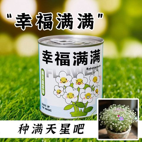Bộ Khởi Đầu Vườn Hoa Mini - Hạt Giống Nảy Mầm Tự Động Cho Bé - Trải Nghiệm STEM Lý Thú Ở Nhà