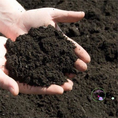 Đất Trồng Hữu Cơ Dinh Dưỡng - Túi 1kg Giá Thể Tối Ưu Cho Cây Kiểng Trong Nhà và Ngoài Trời