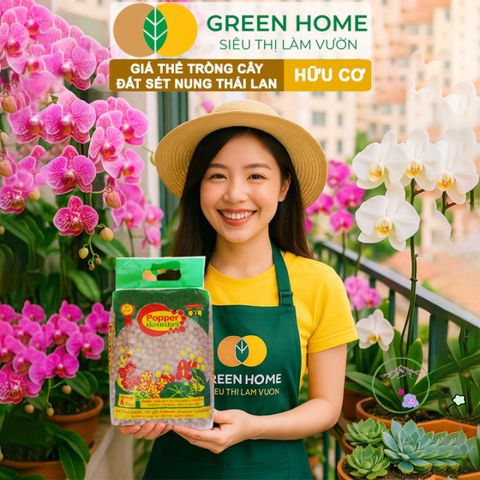 Đất Sét Nung GreenHome 6L Thái Lan - Giữ Nước, Chống Ngập Úng, Phù Hợp Trồng Sen Đá, Phong Lan và Thủy Canh