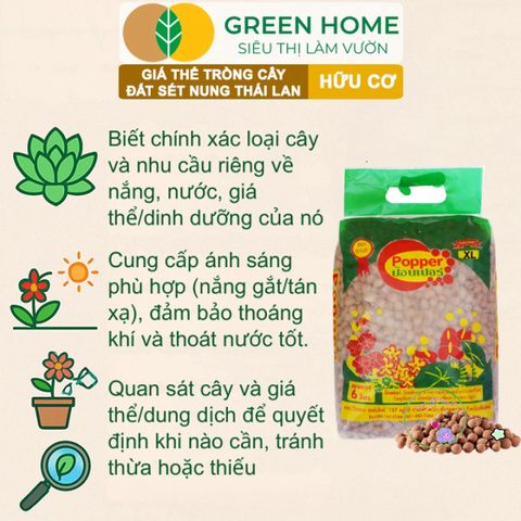 Đất Sét Nung GreenHome 6L Thái Lan - Giữ Nước, Chống Ngập Úng, Phù Hợp Trồng Sen Đá, Phong Lan và Thủy Canh