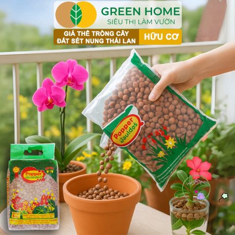Đất Sét Nung GreenHome 6L Thái Lan - Giữ Nước, Chống Ngập Úng, Phù Hợp Trồng Sen Đá, Phong Lan và Thủy Canh