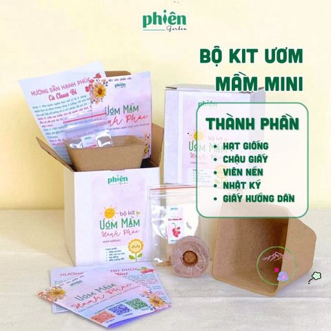 Bộ Kit Ươm Hạt Mini Tự Trồng Cây - Quà Tặng Ý Nghĩa Chăm Sóc Cây Cảnh Đáng Yêu cho Người Yêu Thi-Nhiên