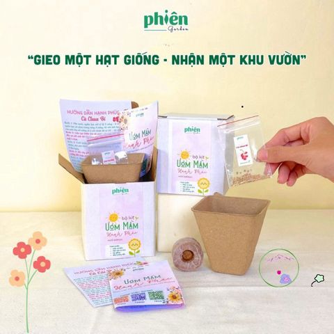 Bộ Kit Ươm Hạt Mini Tự Trồng Cây - Quà Tặng Ý Nghĩa Chăm Sóc Cây Cảnh Đáng Yêu cho Người Yêu Thi-Nhiên