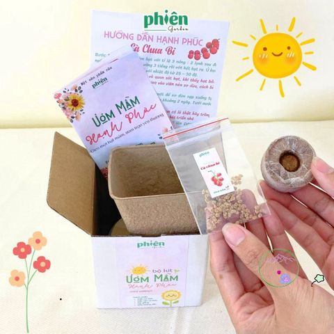 Bộ Kit Ươm Hạt Mini Tự Trồng Cây - Quà Tặng Ý Nghĩa Chăm Sóc Cây Cảnh Đáng Yêu cho Người Yêu Thi-Nhiên