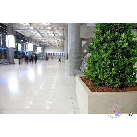 Viên Đất Sét Nung Thái Lan Siêu Nhẹ Cho Cây Cảnh – Sen Đá, Xương Rồng, Lan, Sứ, Gói 1 Lít, Đa Kích Cỡ, An Toàn cho Cây Trồng