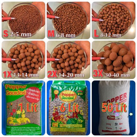 Viên Đất Sét Nung Thái Lan Siêu Nhẹ Cho Cây Cảnh – Sen Đá, Xương Rồng, Lan, Sứ, Gói 1 Lít, Đa Kích Cỡ, An Toàn cho Cây Trồng