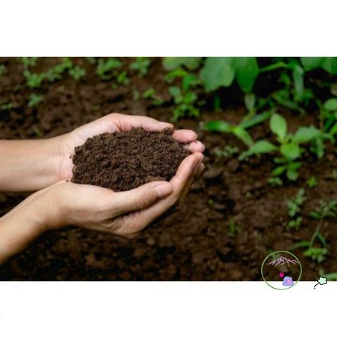 Đất Trồng Cây Dinh Dưỡng 500g Cho Cây Mini, Rau Quả Sạch - Giải Pháp Tối Ưu Cho Vườn Nhỏ Tại Nhà