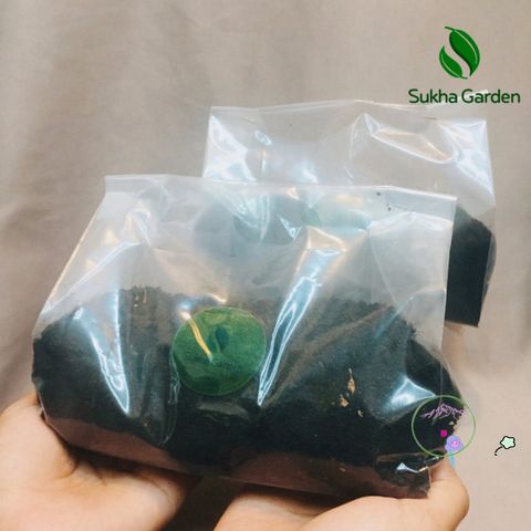 Đất Trồng Cây Dinh Dưỡng 500g Cho Cây Mini, Rau Quả Sạch - Giải Pháp Tối Ưu Cho Vườn Nhỏ Tại Nhà