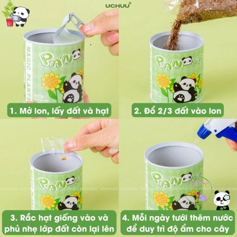 Bộ Hạt Giống UCHUU - Gieo Trồng Oải Hương, Hướng Dương, Dâu và Cà Chua Tại Nhà - Trải Nghiệm DIY Thú Vị Cho Mọi Người