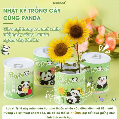 Bộ Hạt Giống UCHUU - Gieo Trồng Oải Hương, Hướng Dương, Dâu và Cà Chua Tại Nhà - Trải Nghiệm DIY Thú Vị Cho Mọi Người