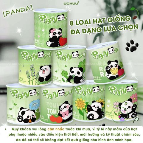 Bộ Hạt Giống UCHUU - Gieo Trồng Oải Hương, Hướng Dương, Dâu và Cà Chua Tại Nhà - Trải Nghiệm DIY Thú Vị Cho Mọi Người