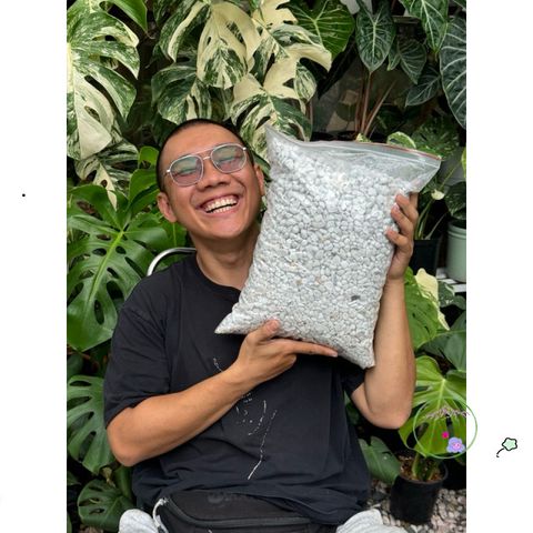 Hạt Perlite Lớn 6-12mm - Chất liệu Giúp Trồng Cây Kiểng, Tăng Cường Độ Thoáng Khí và Giữ Ẩm, Phù Hợp Với Giá Thể