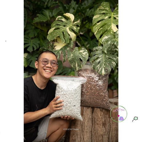 Hạt Perlite Lớn 6-12mm - Chất liệu Giúp Trồng Cây Kiểng, Tăng Cường Độ Thoáng Khí và Giữ Ẩm, Phù Hợp Với Giá Thể