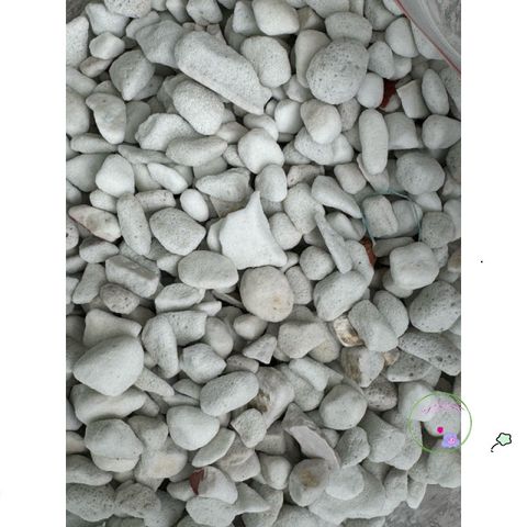 Hạt Perlite Lớn 6-12mm - Chất liệu Giúp Trồng Cây Kiểng, Tăng Cường Độ Thoáng Khí và Giữ Ẩm, Phù Hợp Với Giá Thể