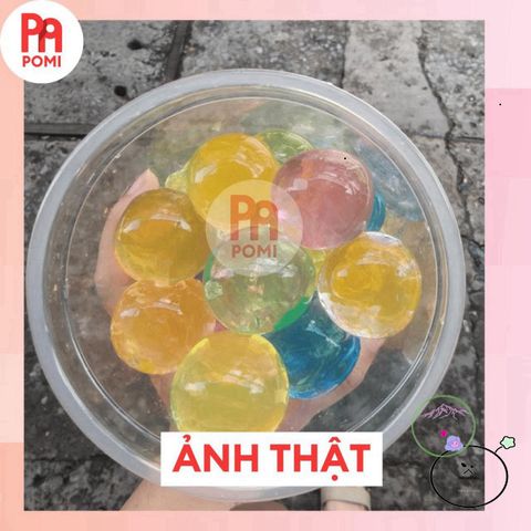 Hạt Tinh Thể POMI - Bộ Đồ Chơi Hạt Nở Màu Sắc Sáng Tạo Trang Trí Cây Xanh Thú Vị