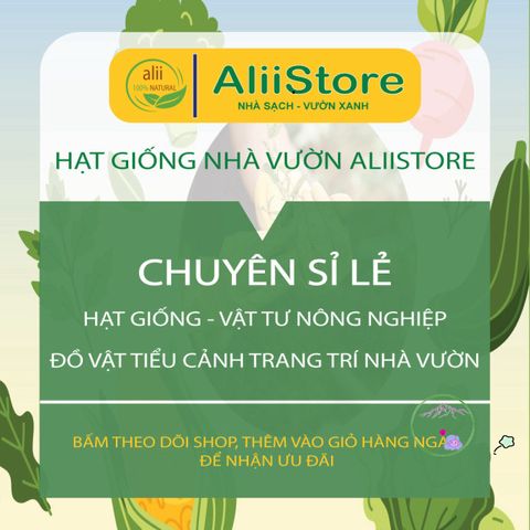 Đất Trồng Sen Đá & Xương Rồng Cao Cấp - Hỗn Hợp Dinh Dưỡng Chuyên Dùng Trồng Rau & Hoa Kiểng Sạch Tự Nhiên