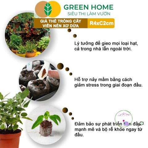 Viên Nén Xơ Dừa GreenHome - Giải Pháp Ơm Hạt Tăng Trưởng Nhanh Chóng, Thay Thế Nylon - Dinh Dưỡng 99% cho Cây Cảnh, Dâu Tây, Rau Hoa