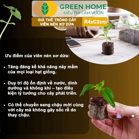 Viên Nén Xơ Dừa GreenHome - Giải Pháp Ơm Hạt Tăng Trưởng Nhanh Chóng, Thay Thế Nylon - Dinh Dưỡng 99% cho Cây Cảnh, Dâu Tây, Rau Hoa