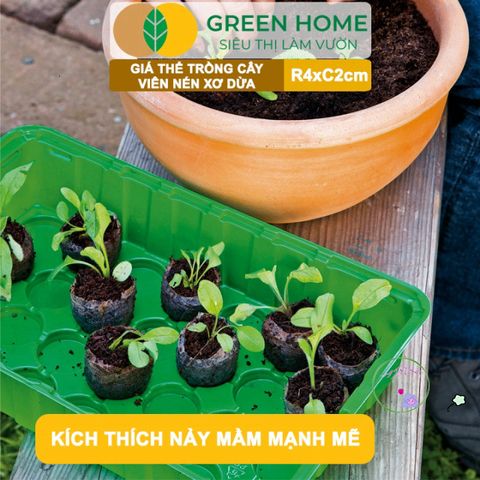 Viên Nén Xơ Dừa GreenHome - Giải Pháp Ơm Hạt Tăng Trưởng Nhanh Chóng, Thay Thế Nylon - Dinh Dưỡng 99% cho Cây Cảnh, Dâu Tây, Rau Hoa