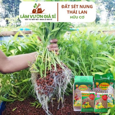 Đất Sét Nung 1 Lít Nhập Khẩu Thái Lan - Giải Pháp Trồng Sen Đá, Hoa Lan và Thủy Canh Chất Lượng Cao