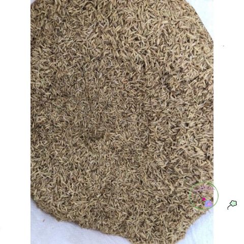 5kg Trấu Khô Sạch - Giá Thể Tự Nhiên Lý Tưởng Cho Trồng Cây, Cải Tạo Đất, Thúc Đẩy Sự Phát Triển Bộ Rễ