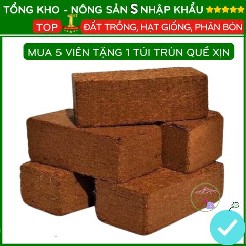Gói Combo Viên Nén Ơm Hạt Giống - Tặng 5 Gói Hạt Giống Đất Nén Xơ Dừa Giúp Cây Phát Triển Mạnh Mẽ, Giữ Ẩm Tối Ưu