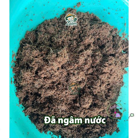 Viên nén xơ dừa hữu cơ 4-5kg - Giá thể lý tưởng cho trồng rau sạch, ươm cây giống và hoa kiểng, tiết kiệm và an toàn cho cây trồng