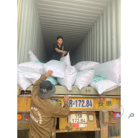 Túi 1 kg Đá Perlite - Phụ Gia Trồng Sen Đá và Xương Rồng - Giúp Thoát Nước Tốt cho Cây Cảnh, Thủy Canh, Làm Vườn
