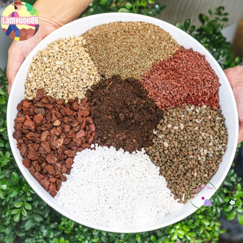 Đất Dinh Dưỡng Cho Sen Đá, Xương Rồng & Cây BonSai - Đất Trồng Chuyên Dụng, Tơi Xốp, Thoát Nước Tốt, Giúp Cây Phát Triển Khỏe Mạnh