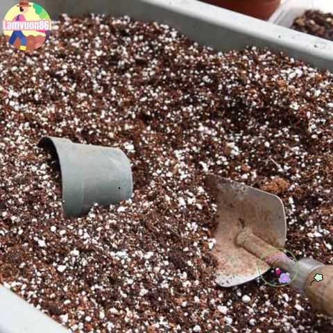 Đất Dinh Dưỡng Cho Sen Đá, Xương Rồng & Cây BonSai - Đất Trồng Chuyên Dụng, Tơi Xốp, Thoát Nước Tốt, Giúp Cây Phát Triển Khỏe Mạnh