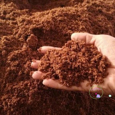 Mùn xơ dừa đã xử lý 1kg cho cây lan, cây cảnh, rau mầm - Giữ độ ẩm, tăng cường dinh dưỡng, hữu cơ thân thiện môi trường