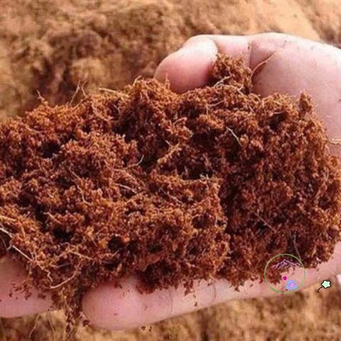 Mùn xơ dừa đã xử lý 1kg cho cây lan, cây cảnh, rau mầm - Giữ độ ẩm, tăng cường dinh dưỡng, hữu cơ thân thiện môi trường