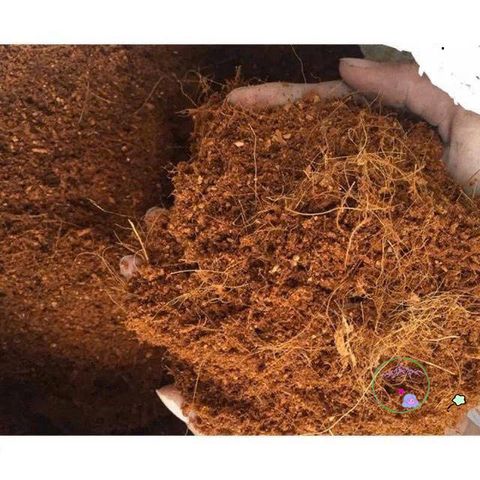 Mùn xơ dừa đã xử lý 1kg cho cây lan, cây cảnh, rau mầm - Giữ độ ẩm, tăng cường dinh dưỡng, hữu cơ thân thiện môi trường