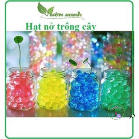 Hạt Nở Tinh Thể Dinh Dưỡng Cho Cây Thủy Sinh - 10g (300-400 Viên) - Trang Trí Nội Thất và Cắm Hoa Đẹp Mắt
